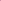 Plus Size Pink Top for Women